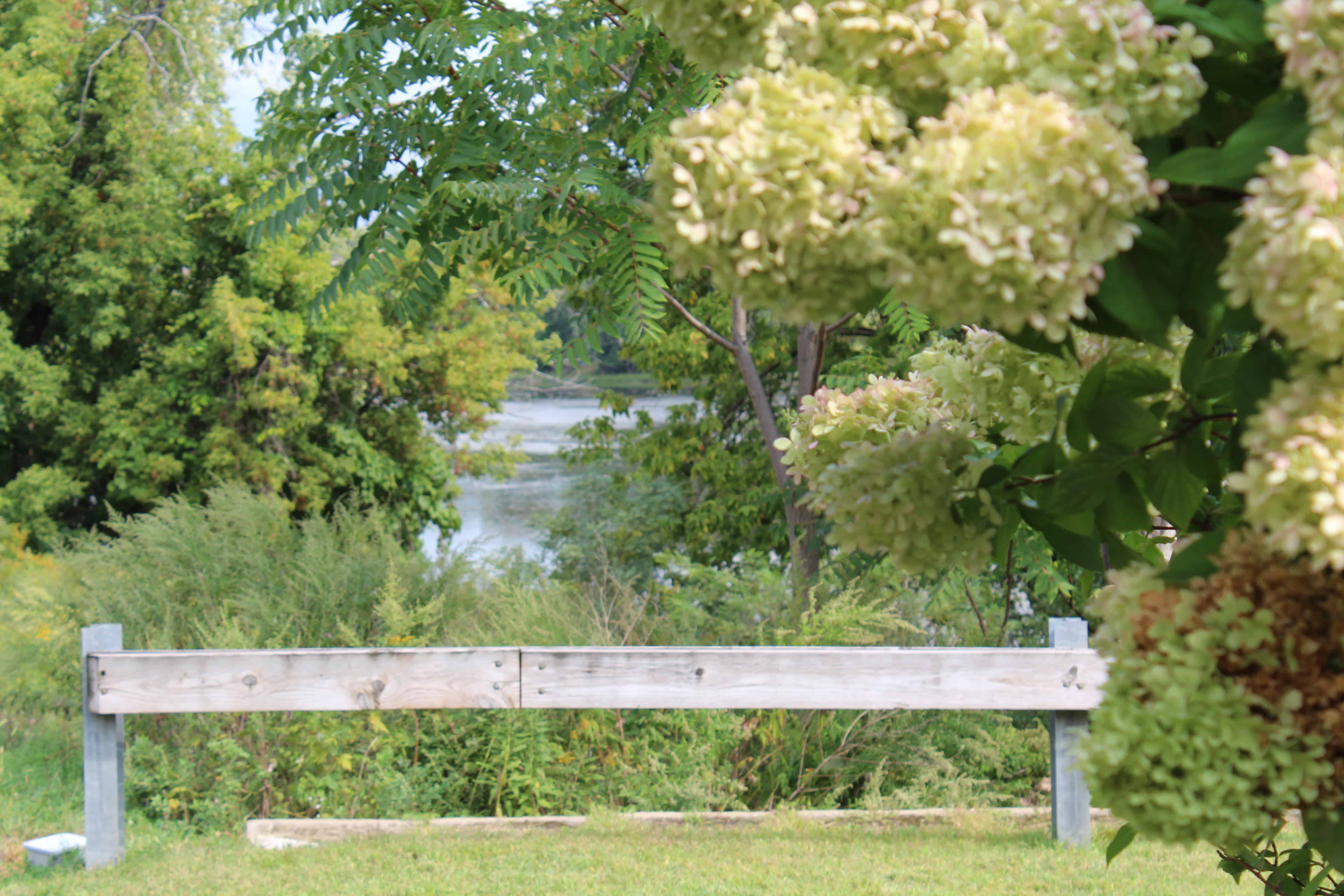 Waterside nature pic Waterside Apartments Independent Active 50